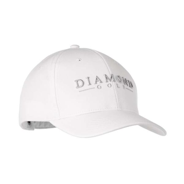 DIAFIMISTIKA-KAPELA-HOLMH2310 (5)